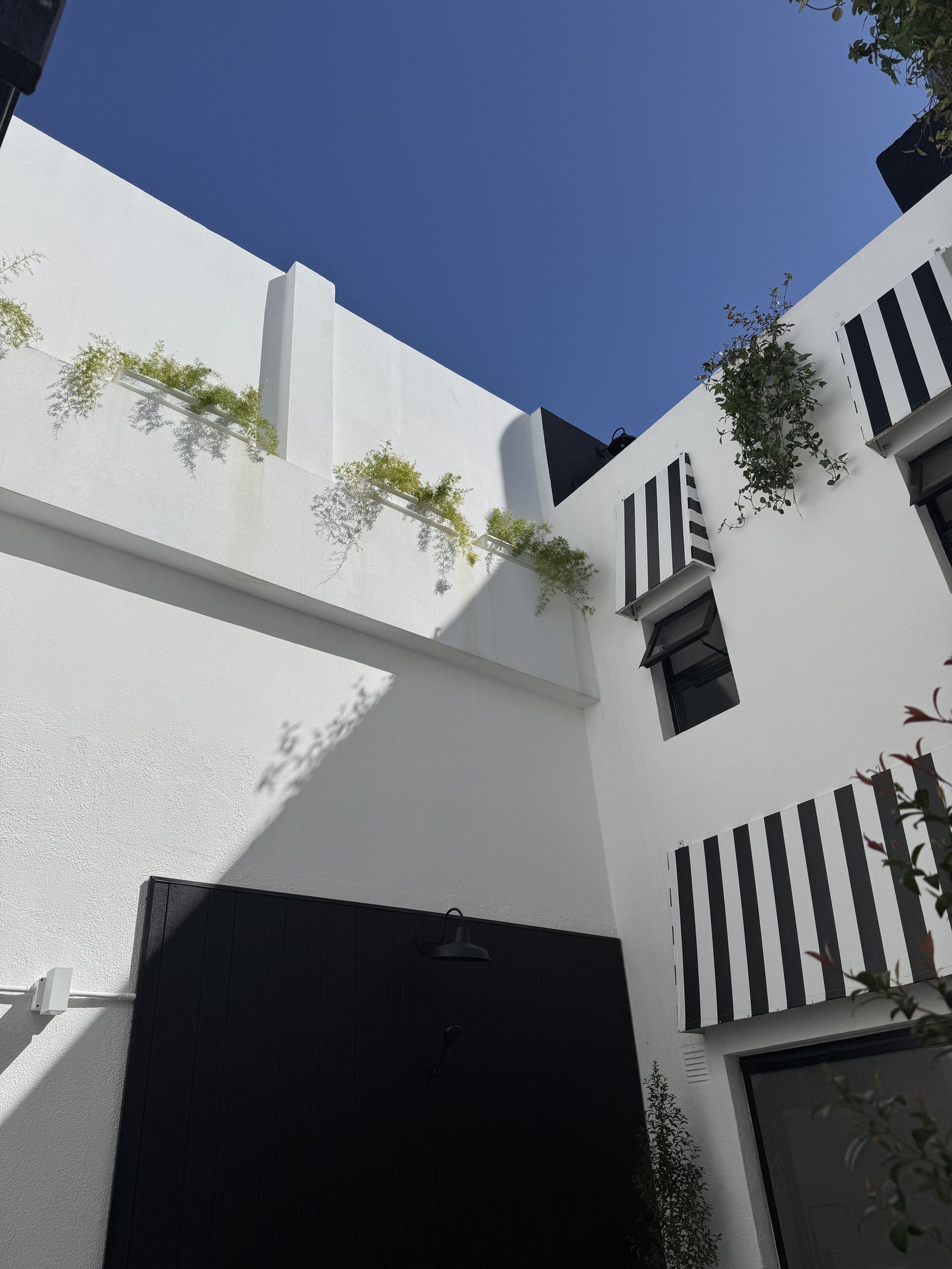 Salvador II, Palermo Hollywood